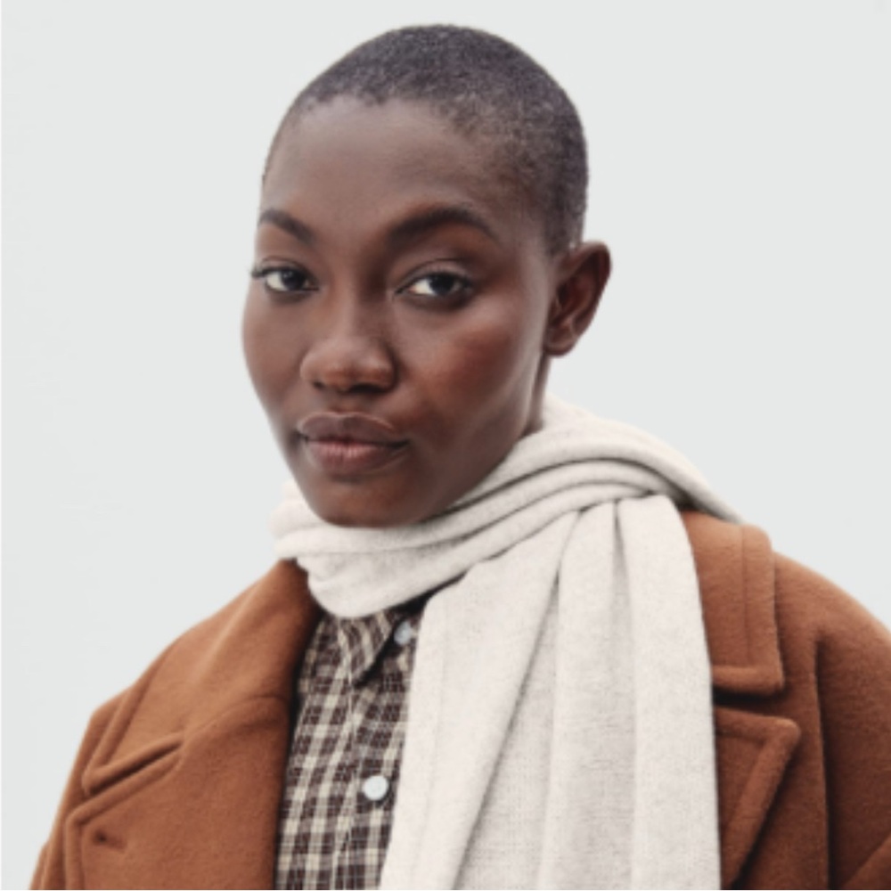 Everlane The Cashmere Scarf (100% Cashmere) - Canvas